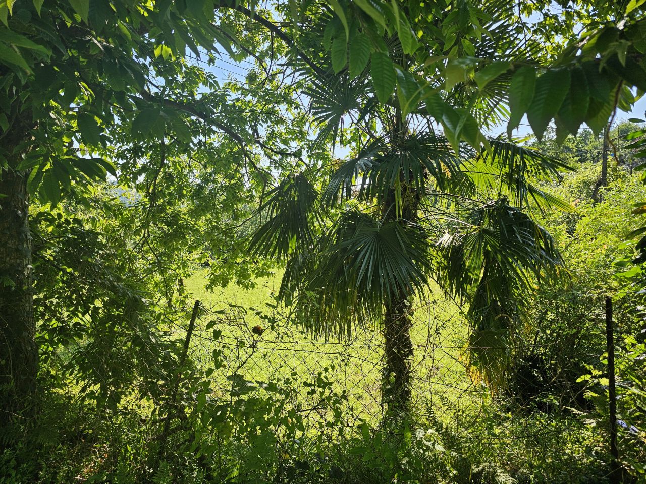 Земля в Батуми, Грузия, 2 800 м² - фото 17