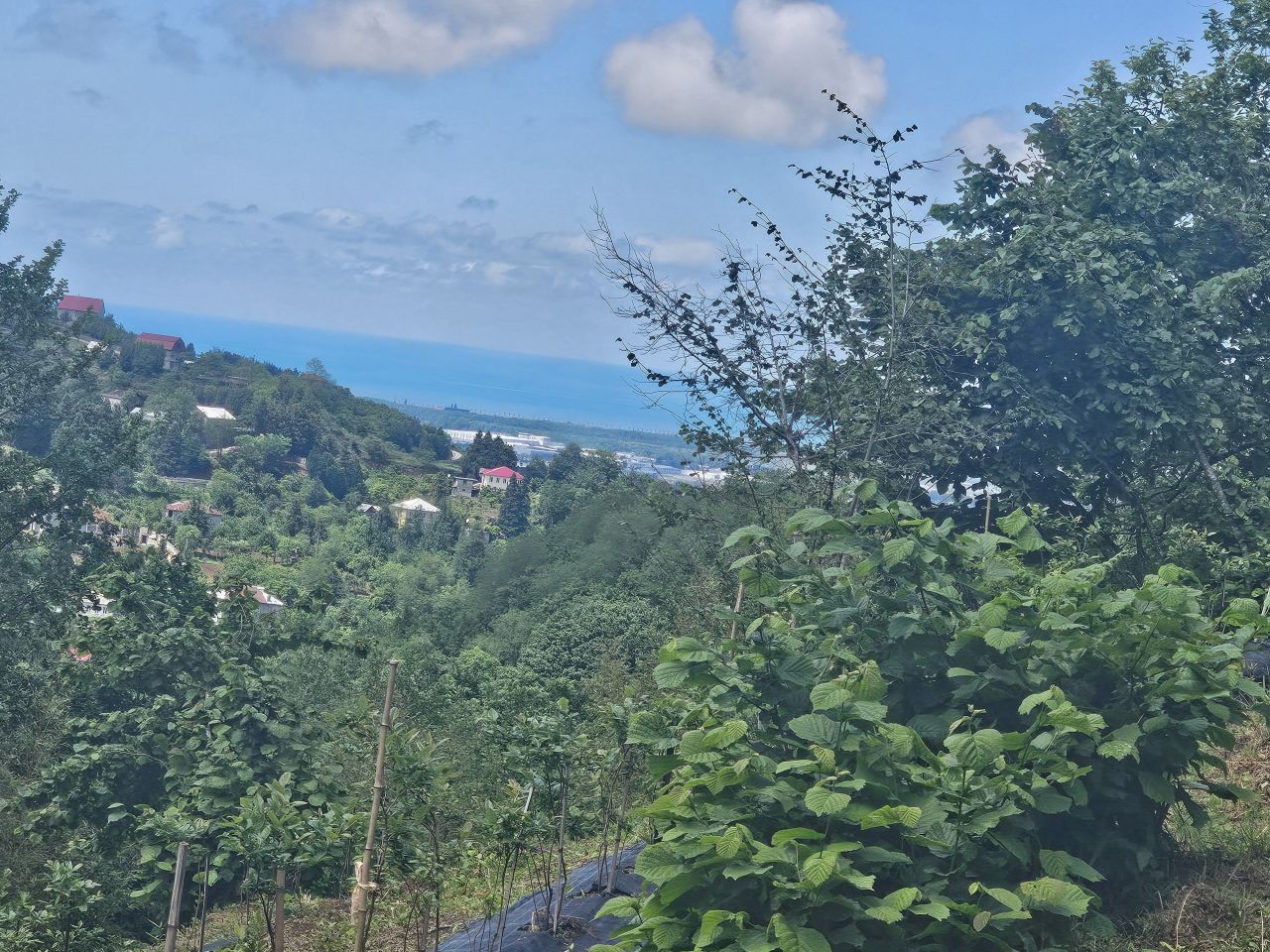 Земля в Батуми, Грузия, 2 300 м² - фото 15