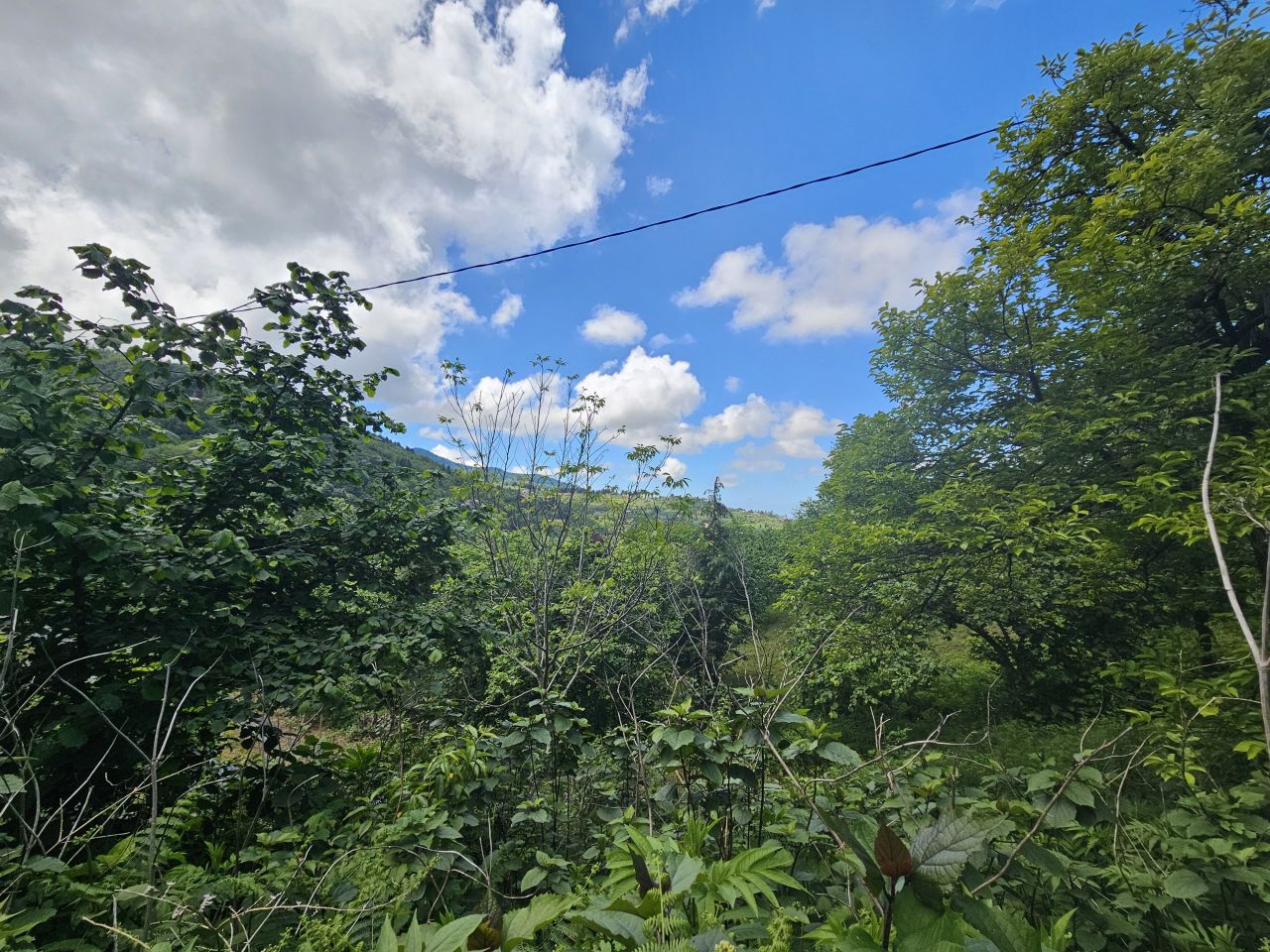 Земля в Батуми, Грузия, 2 300 м² - фото 8