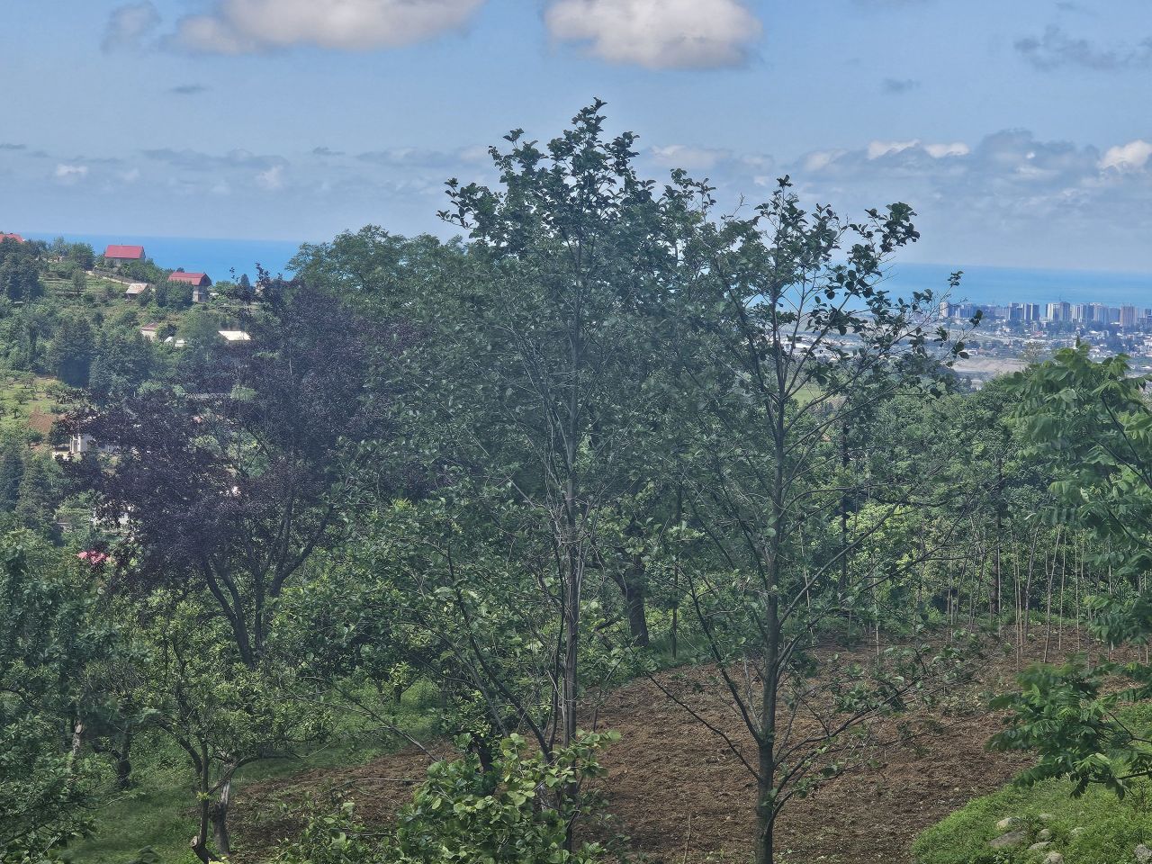 Земля в Батуми, Грузия, 2 300 м² - фото 10