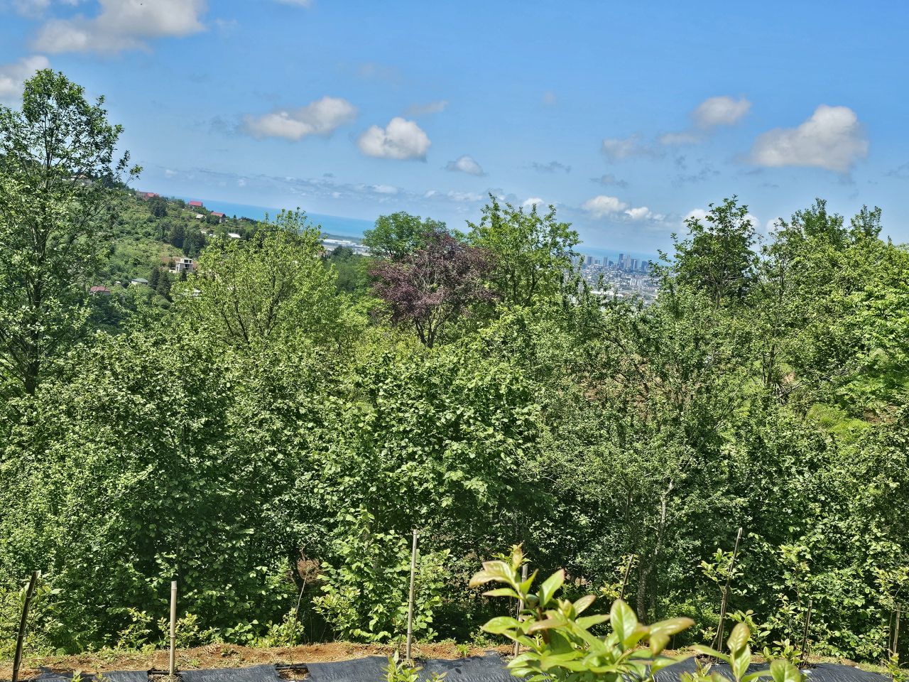 Земля в Батуми, Грузия, 2 300 м² - фото 14