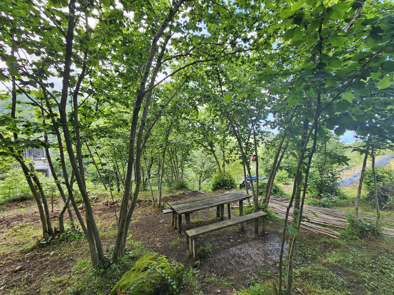 Земля в Батуми, Грузия, 2 300 м² - фото 2