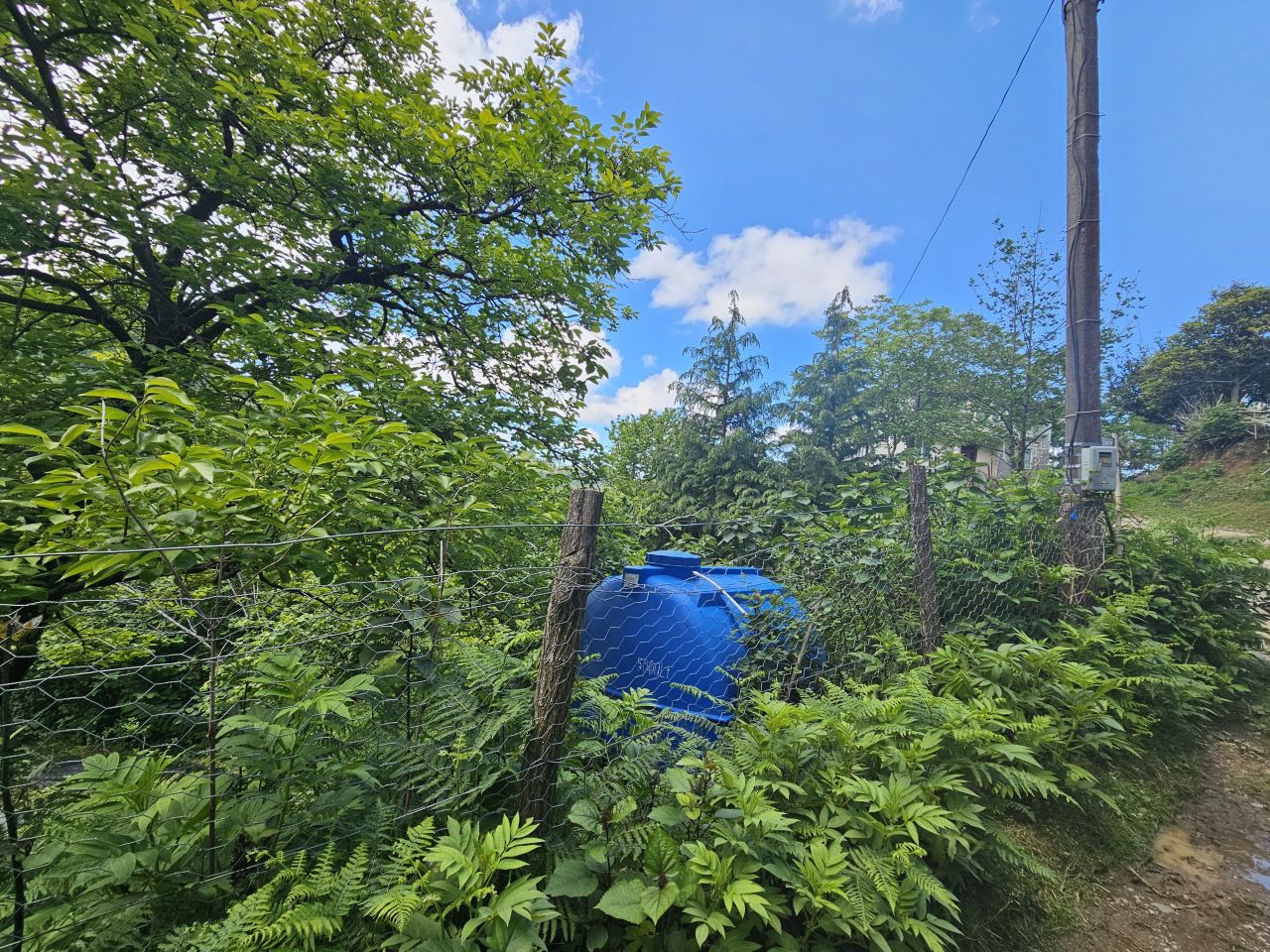 Земля в Батуми, Грузия, 2 300 м² - фото 7