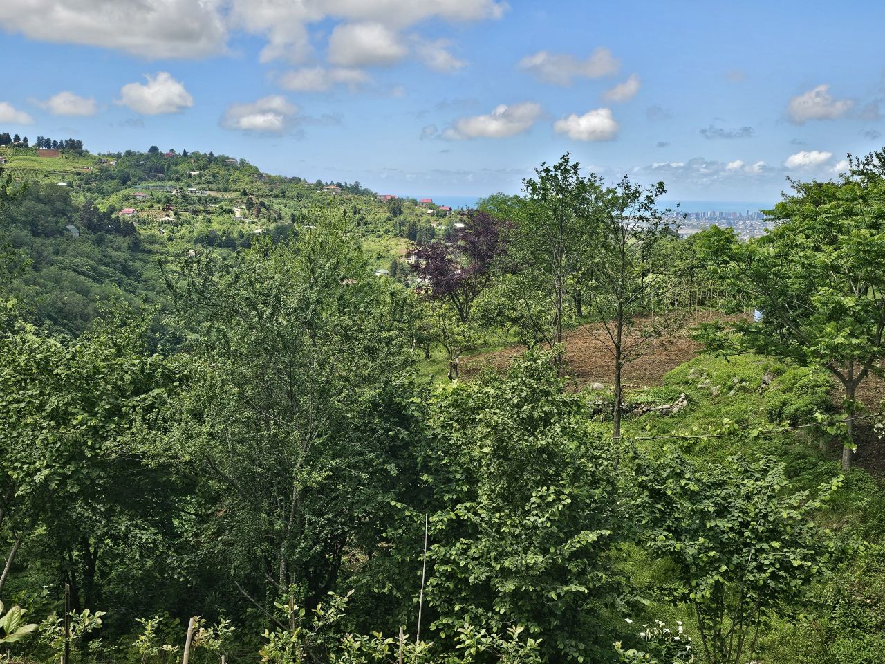 Земля в Батуми, Грузия, 2 300 м² - фото 11