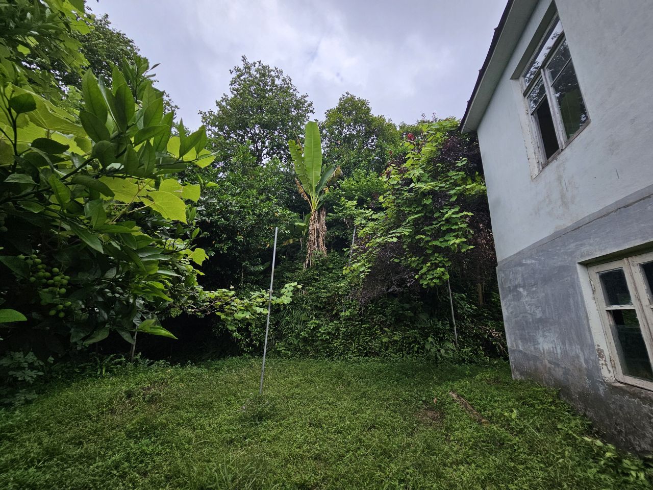 Земля в Батуми, Грузия, 4 500 м² - фото 11