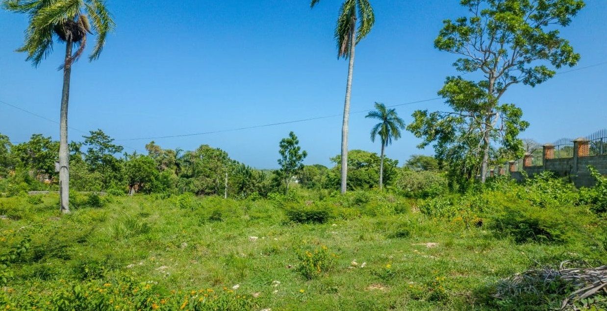 Земля в Сосуа, Доминиканская Республика, 3 000 м² - фото 2