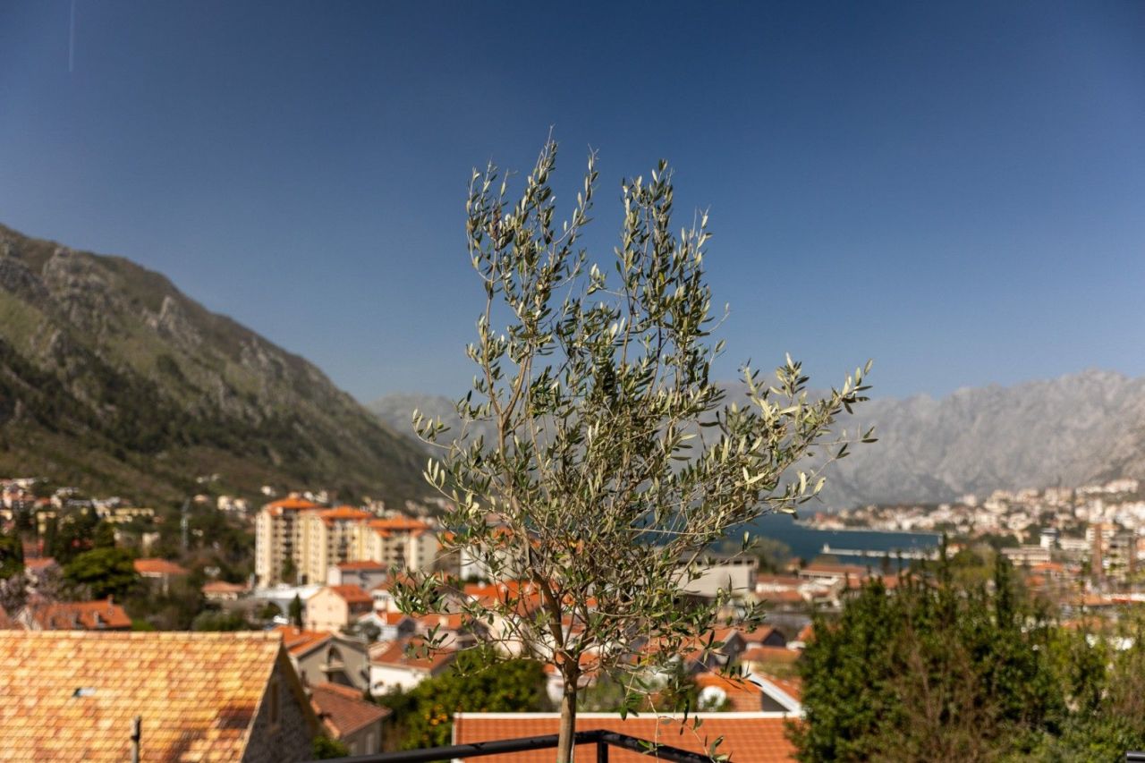 Дом в Которе, Черногория, 160 м² - фото 15