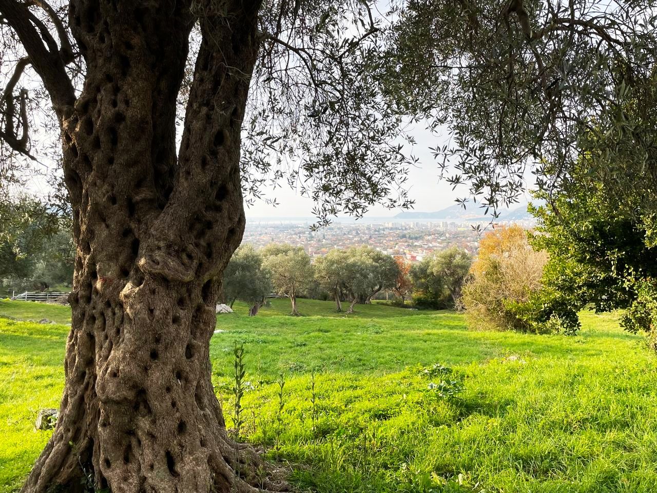 Квартира в Баре, Черногория, 76 м² - фото 16