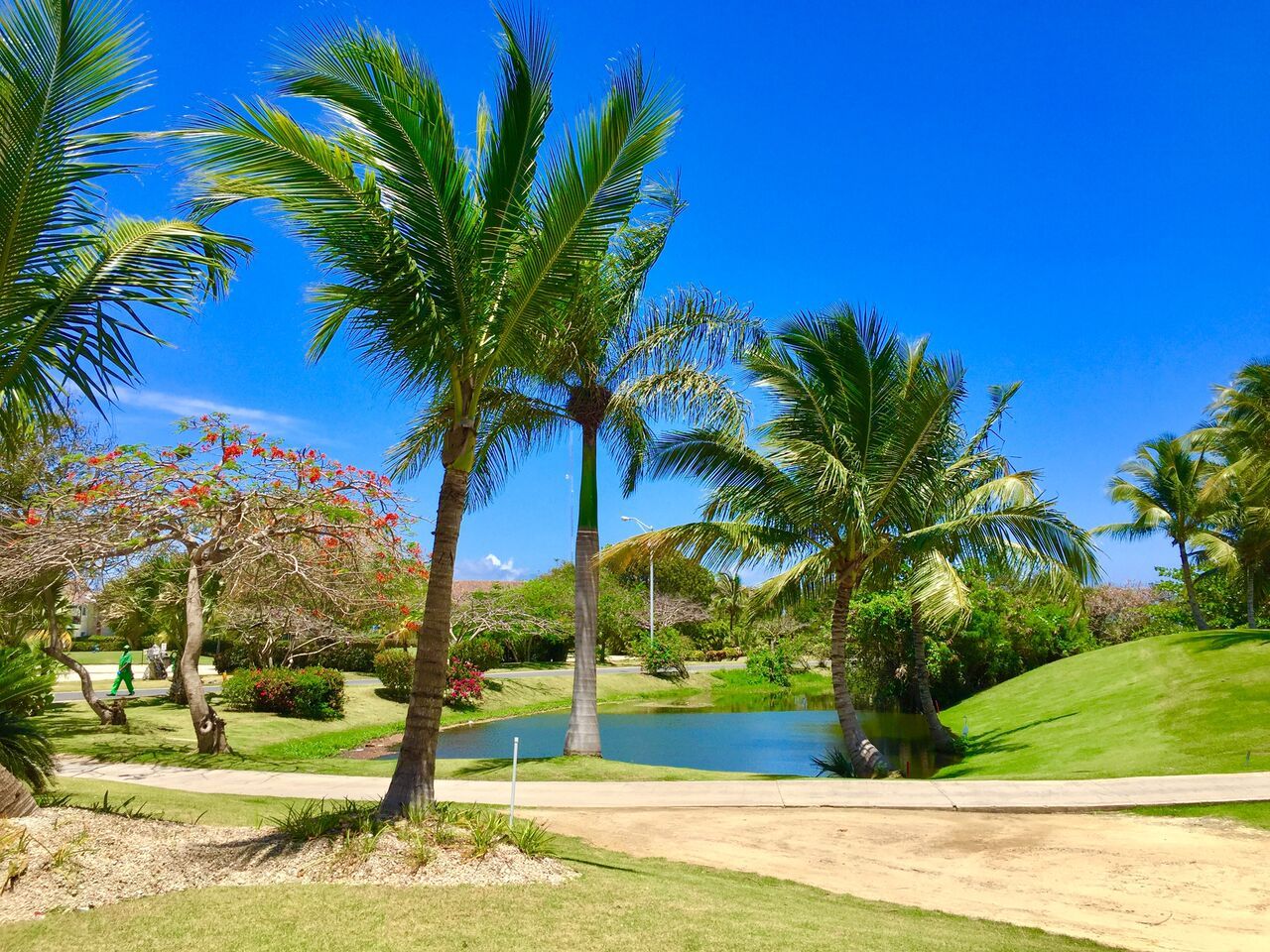 Квартира в Баваро, Доминиканская Республика, 67 м² - фото 11