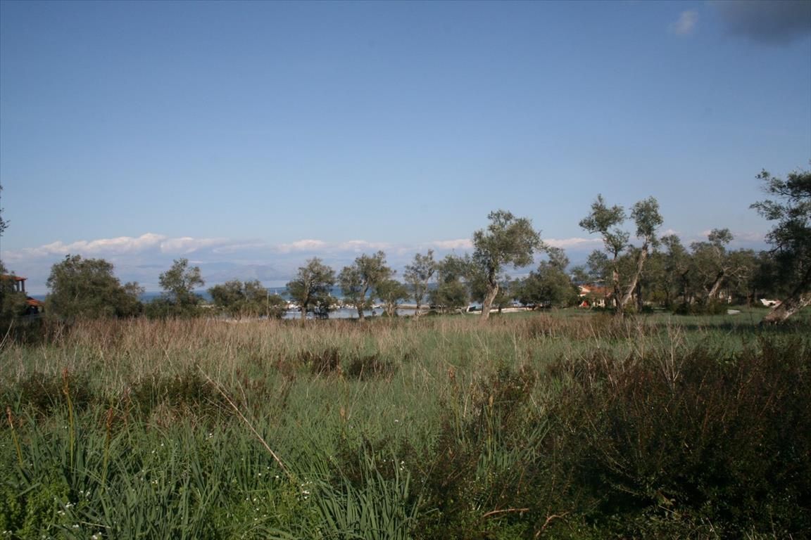 Земля на Корфу, Греция, 21 083 м² - фото 8