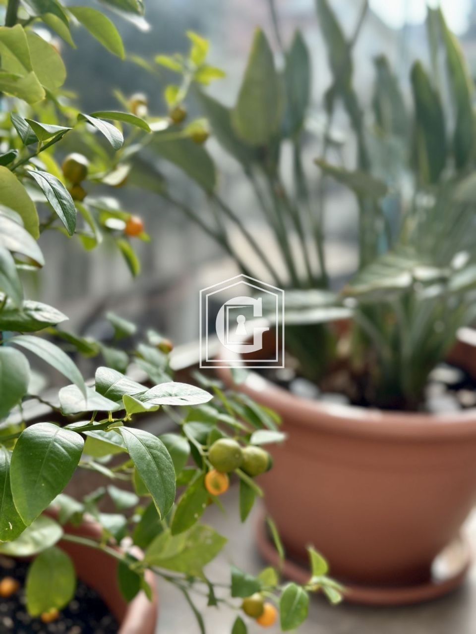 Апартаменты в Будве, Черногория, 40 м² - фото 7