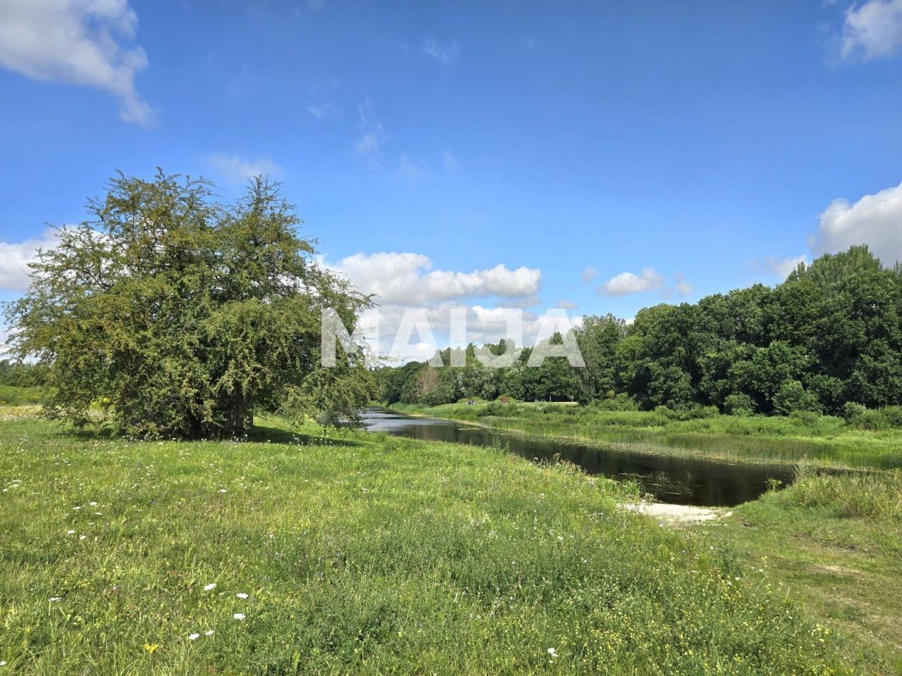 Земля Musa, Латвия, 431 000 м² - фото 2