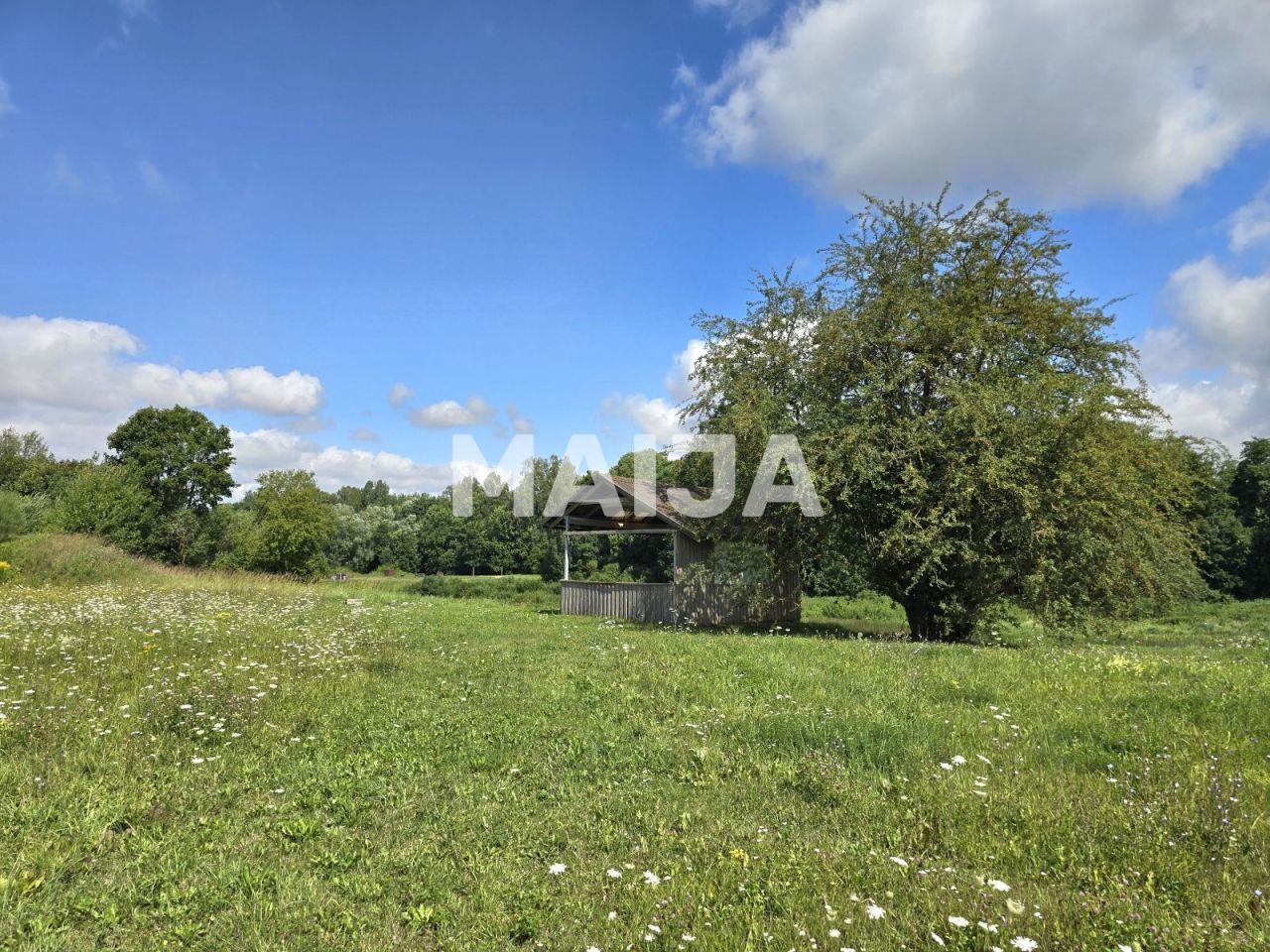 Земля Musa, Латвия, 431 000 м² - фото 3