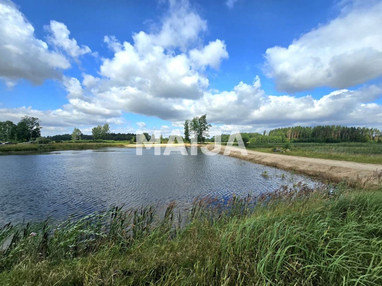 Земля Musa, Латвия, 431 000 м² - фото 12