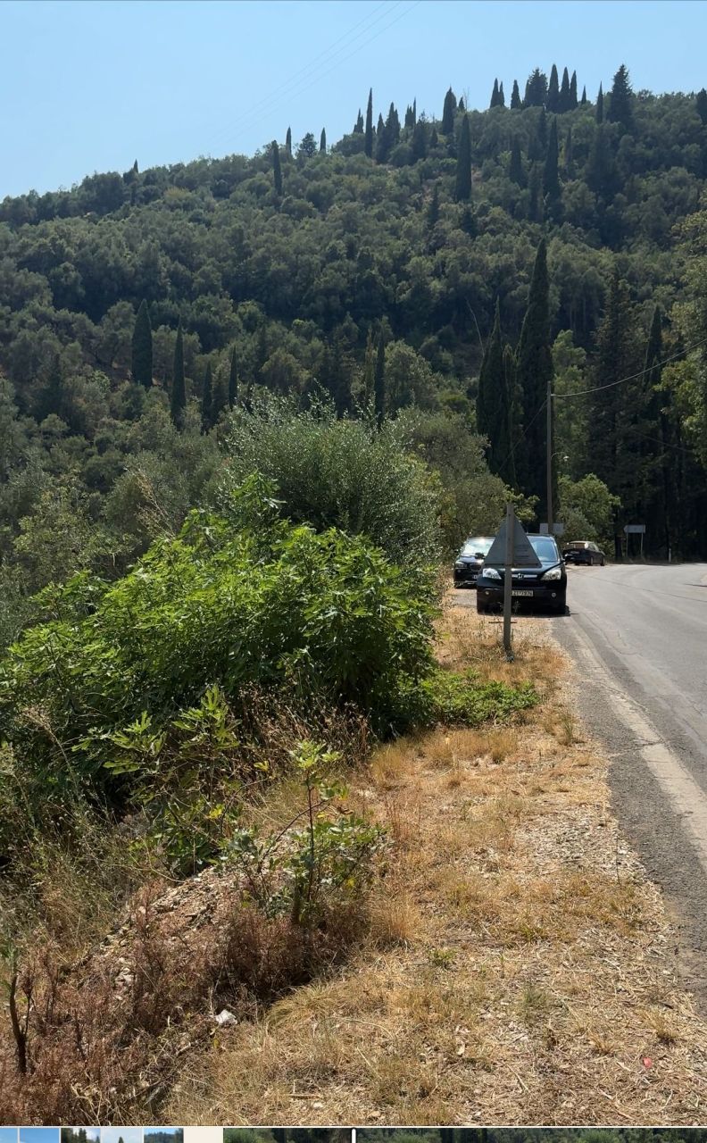 Земля на Корфу, Греция, 2 043 м² - фото 5