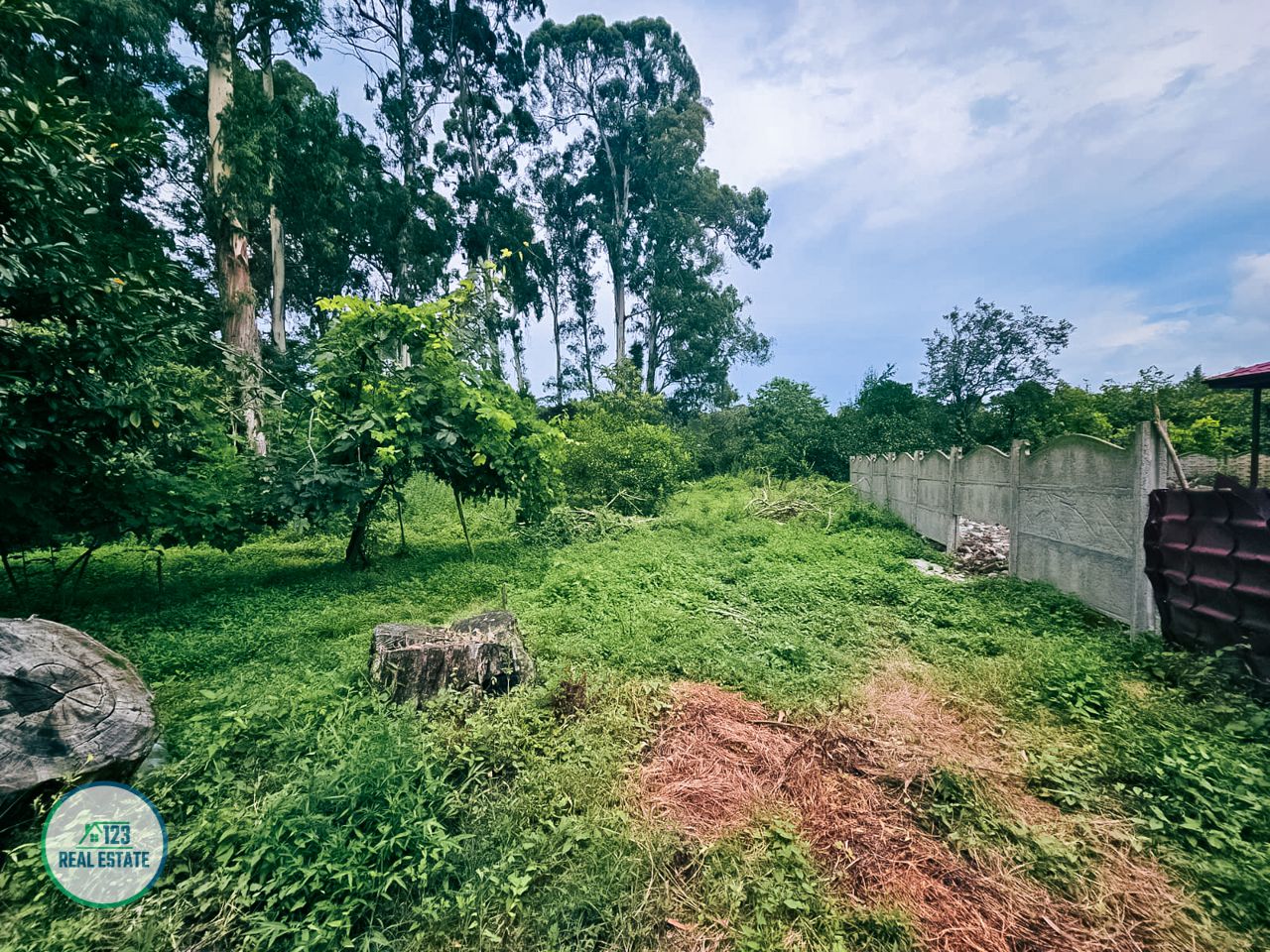 Земля в Батуми, Грузия, 435 м² - фото 8