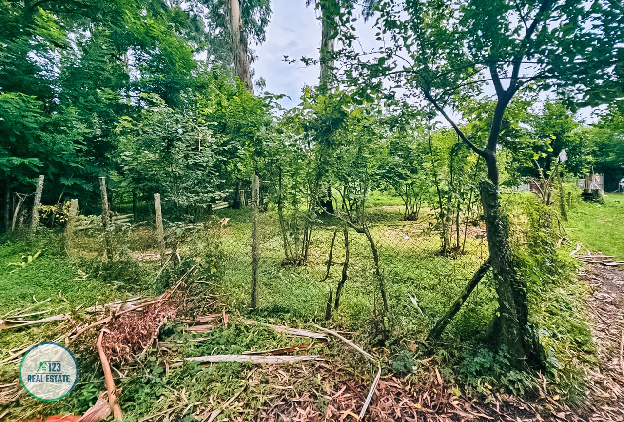 Земля в Батуми, Грузия, 435 м² - фото 10