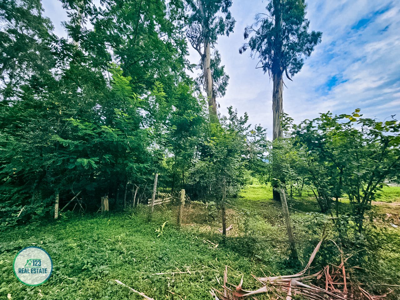 Земля в Батуми, Грузия, 435 м² - фото 9