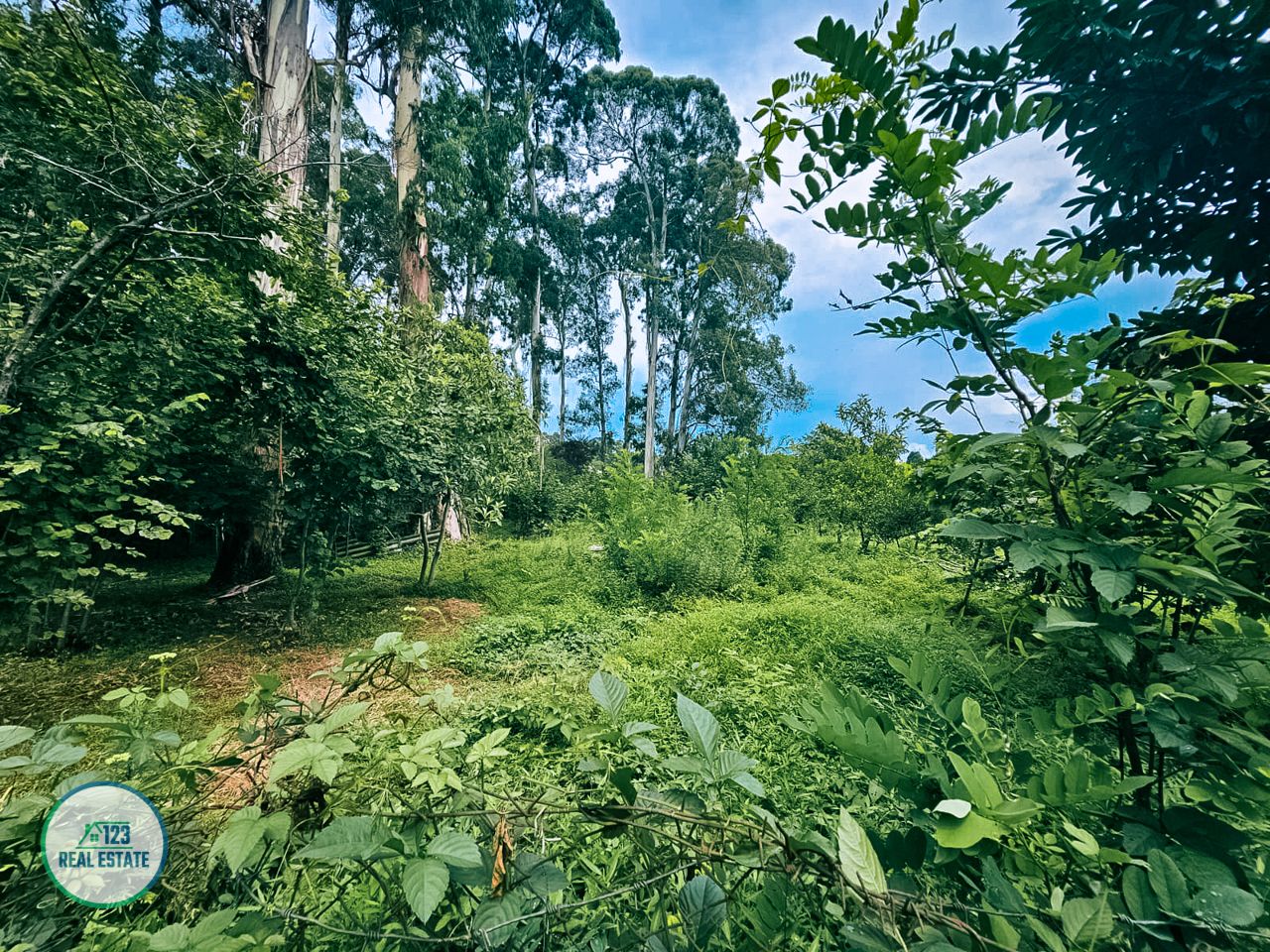 Земля в Батуми, Грузия, 435 м² - фото 6