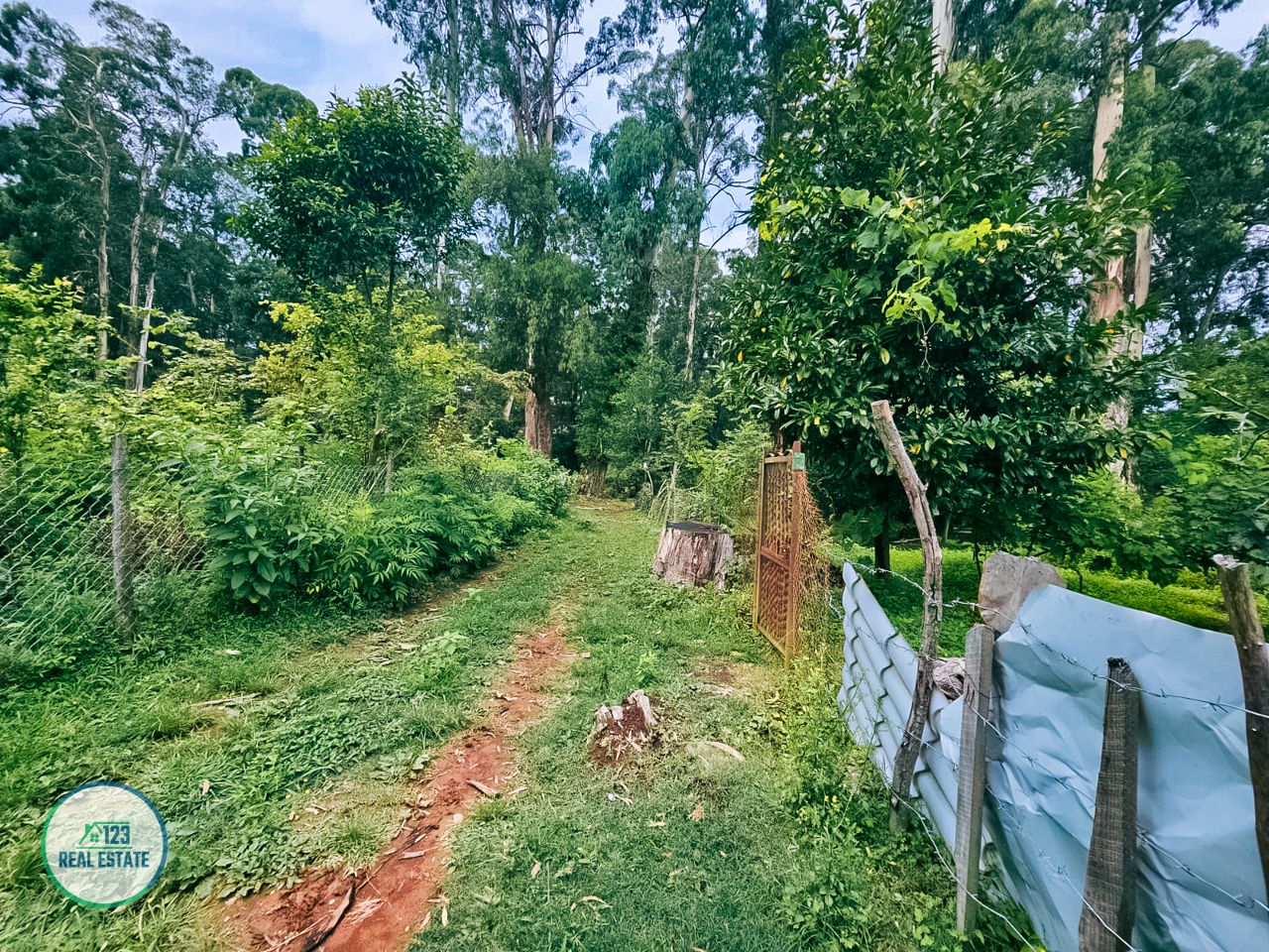 Земля в Батуми, Грузия, 435 м² - фото 7