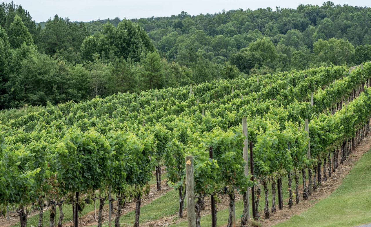 Производство в Варне, Болгария, 1 000 м² - фото 2