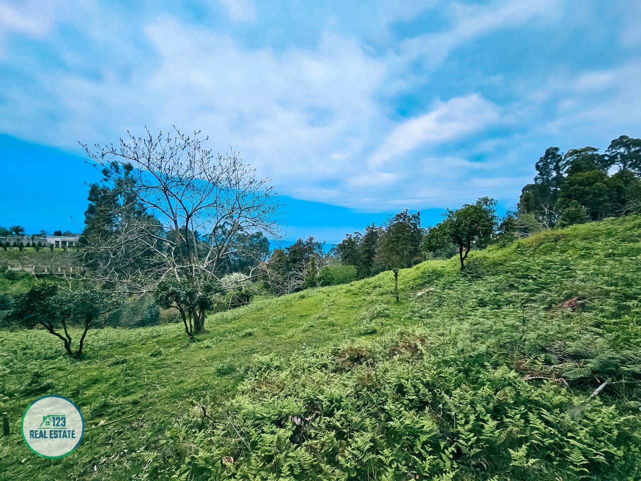 Земля в Батуми, Грузия, 5 120 м² - фото 12