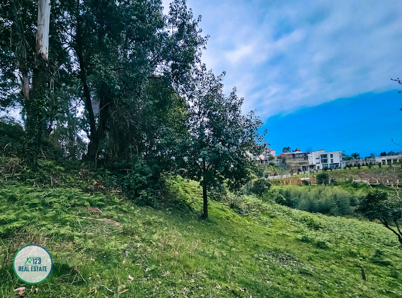 Земля в Батуми, Грузия, 5 120 м² - фото 9