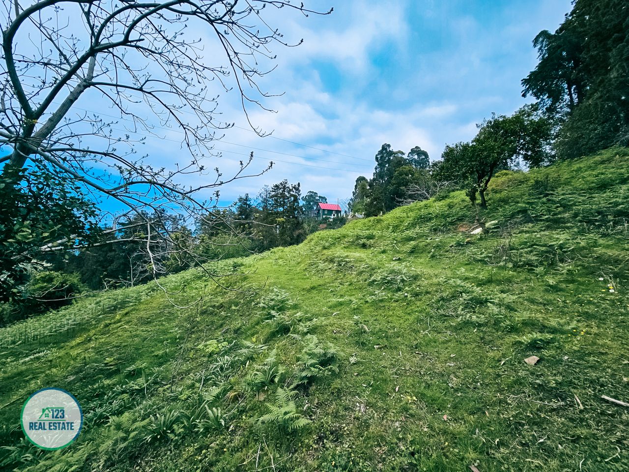 Земля в Батуми, Грузия, 5 120 м² - фото 14