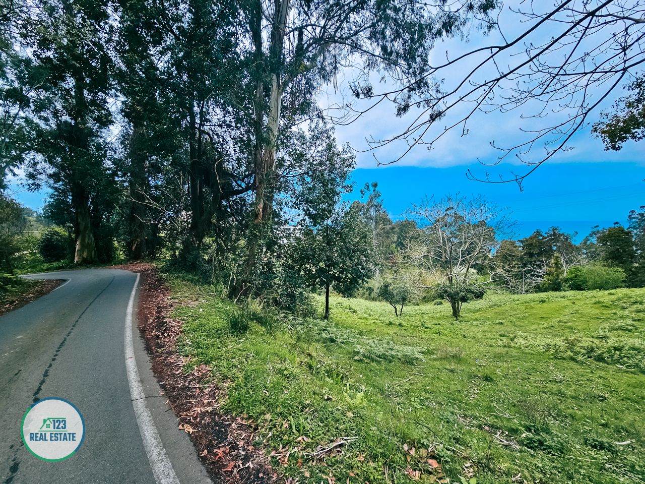 Земля в Батуми, Грузия, 5 120 м² - фото 3