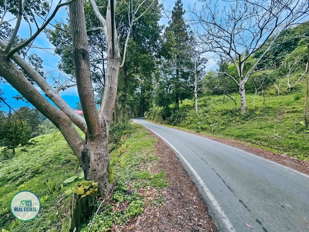 Земля в Батуми, Грузия, 5 120 м² - фото 2