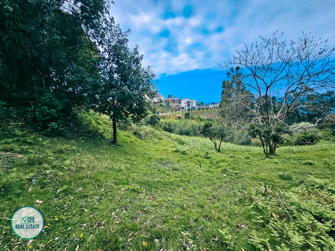 Земля в Батуми, Грузия, 5 120 м² - фото 8