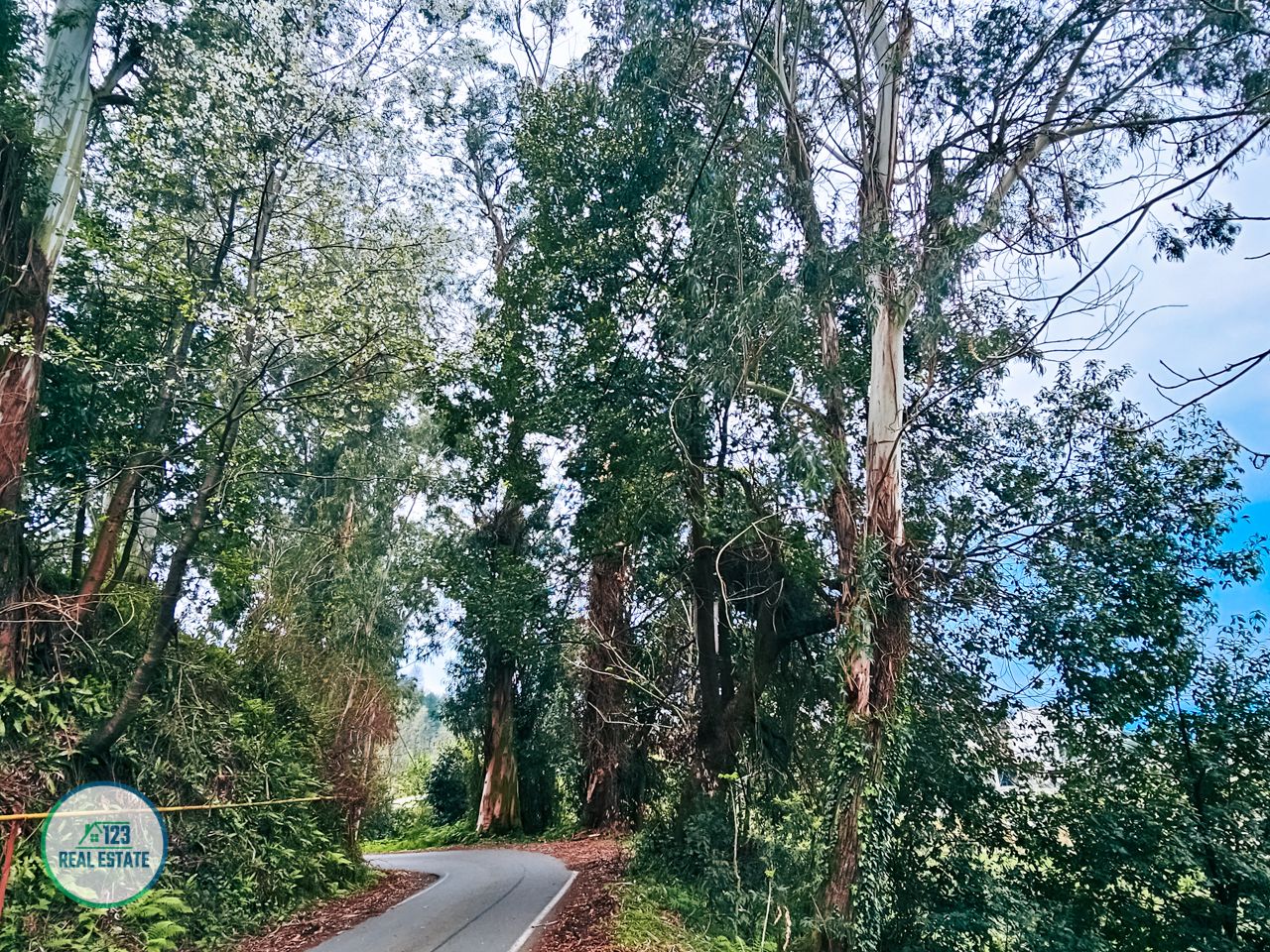 Земля в Батуми, Грузия, 5 120 м² - фото 18