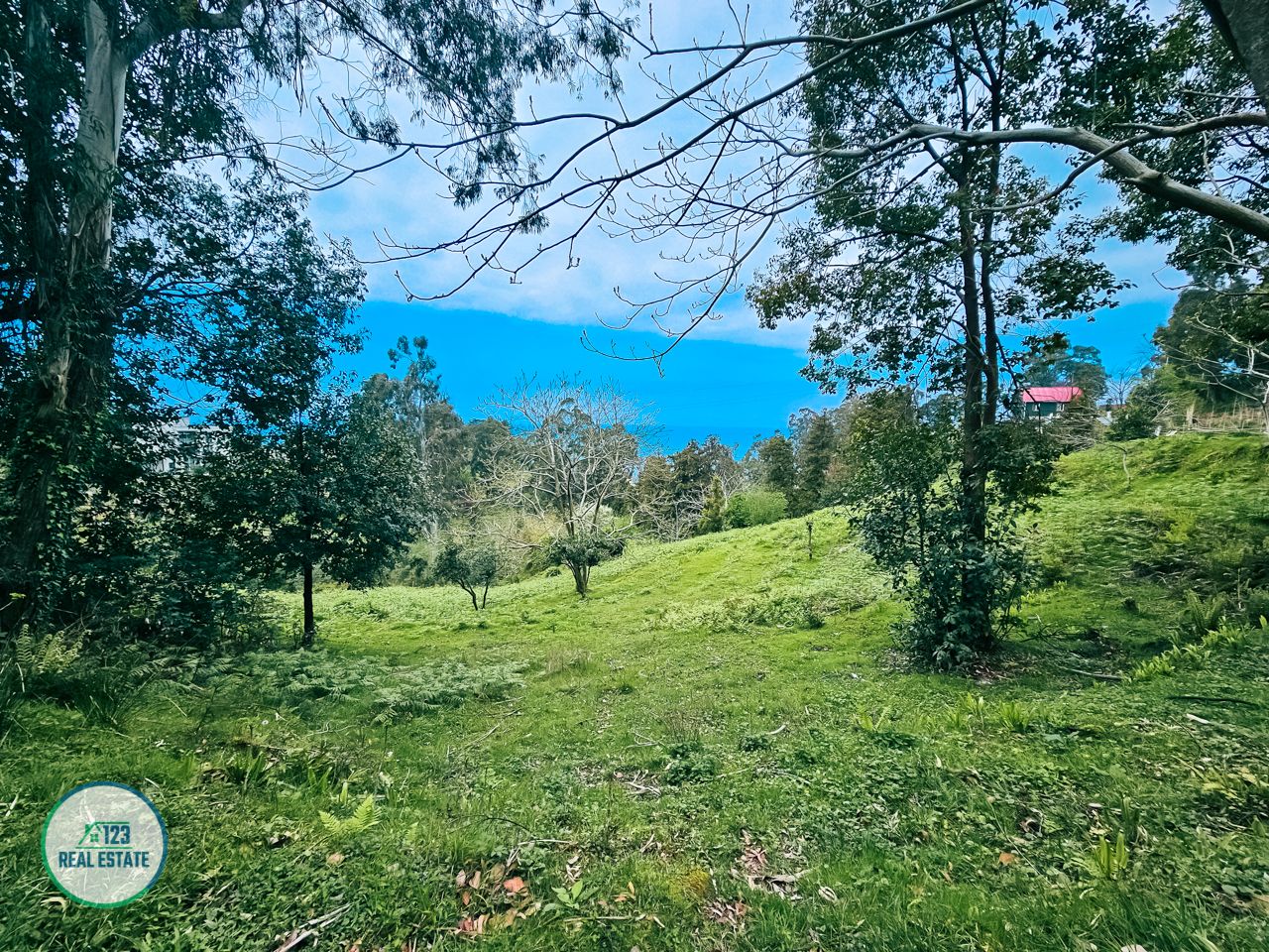 Земля в Батуми, Грузия, 5 120 м² - фото 4