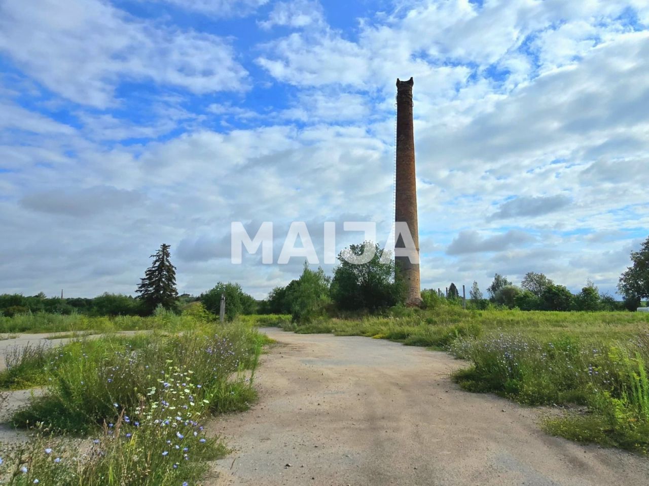 Земля Mezotne, Латвия, 98 300 м² - фото 3