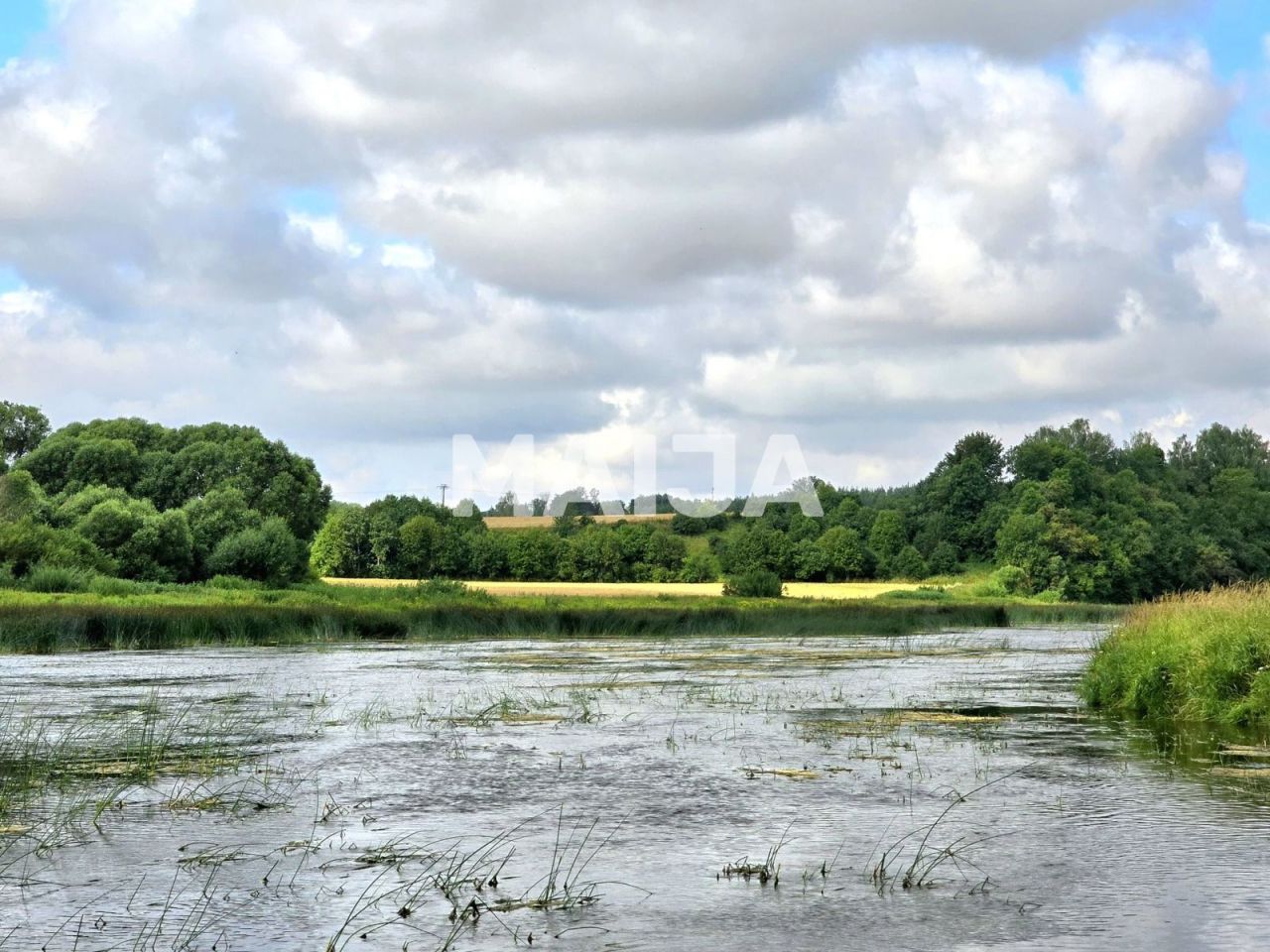 Земля Mezotne, Латвия, 98 300 м² - фото 5