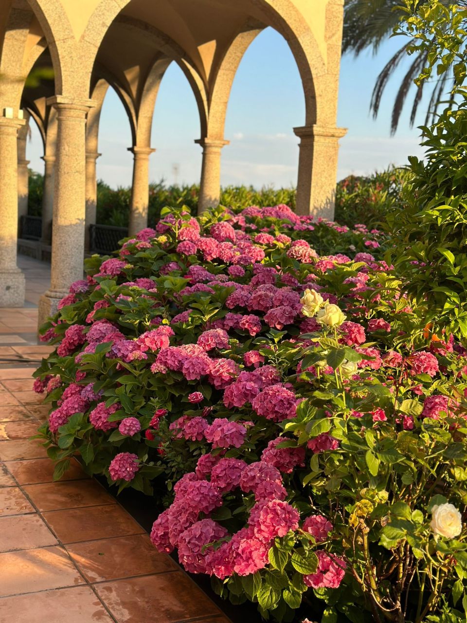 Вилла в Барселоне, Испания, 1 134 м² - фото 6