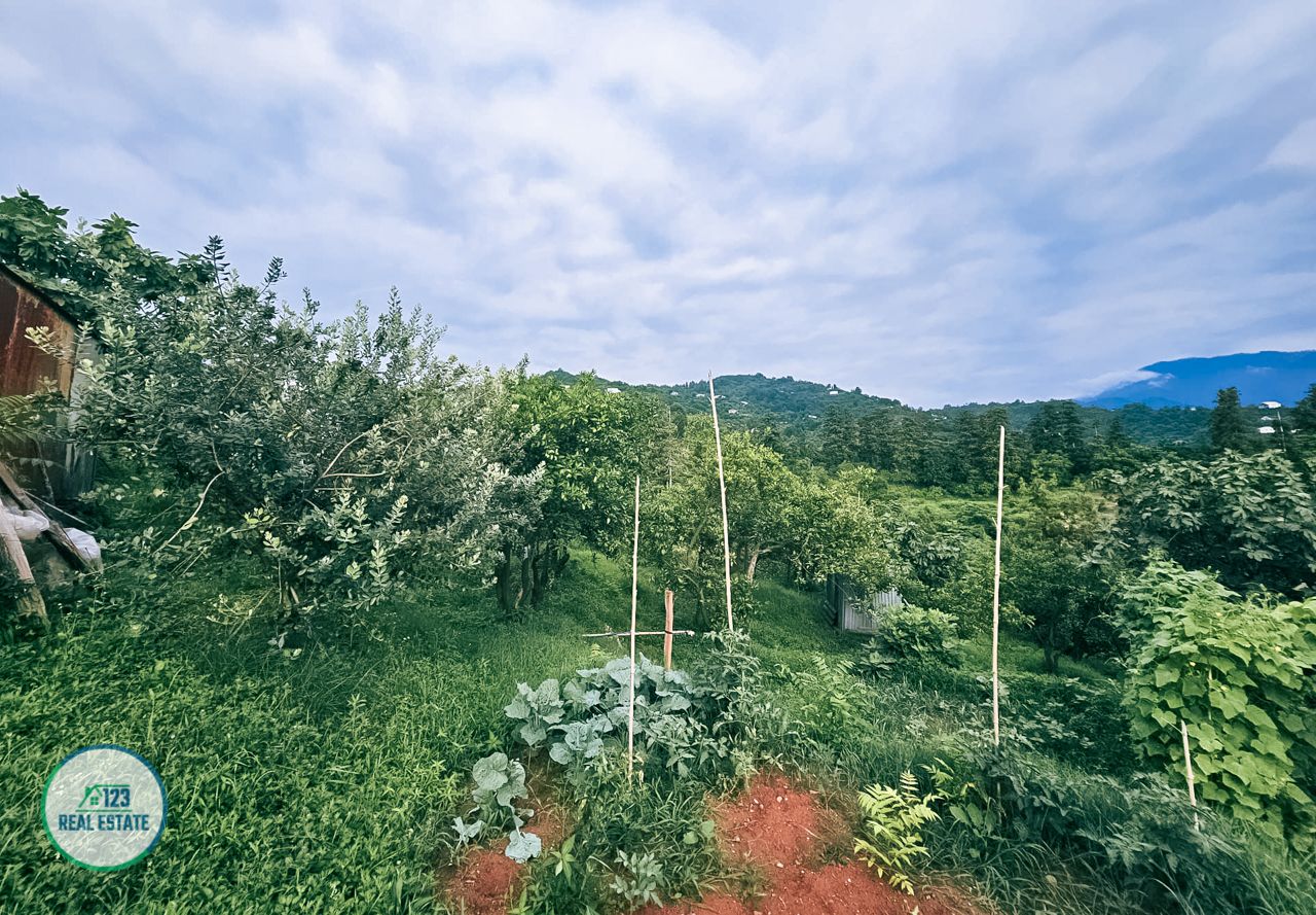 Земля в Батуми, Грузия, 3 077 м² - фото 3