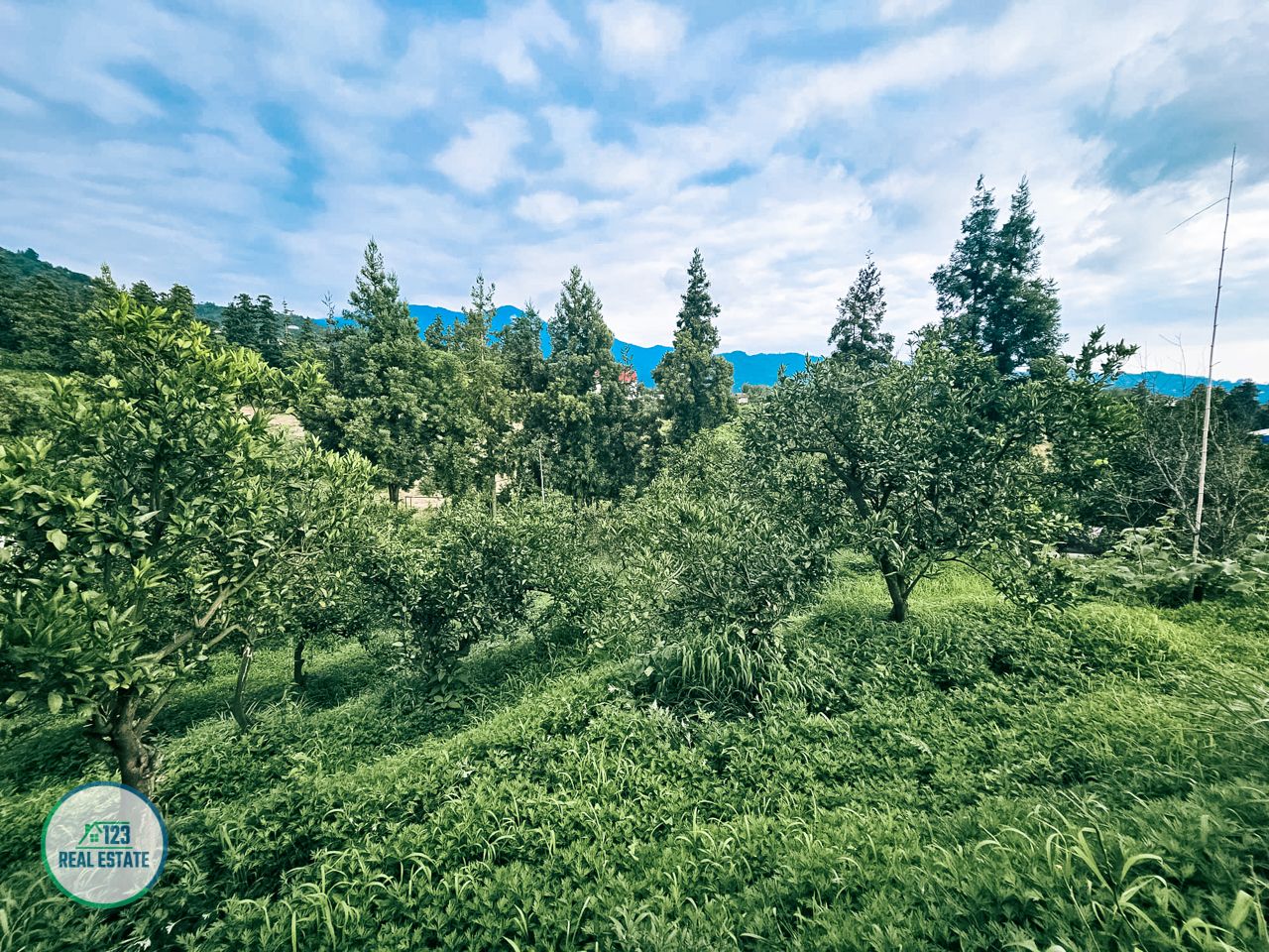 Земля в Батуми, Грузия, 3 077 м² - фото 10