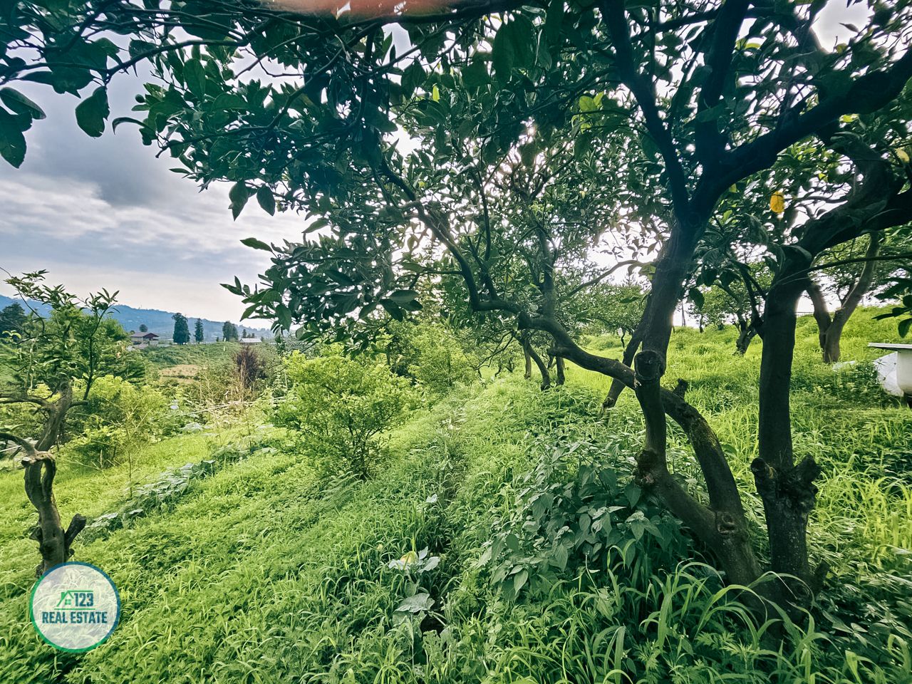 Земля в Батуми, Грузия, 3 077 м² - фото 2