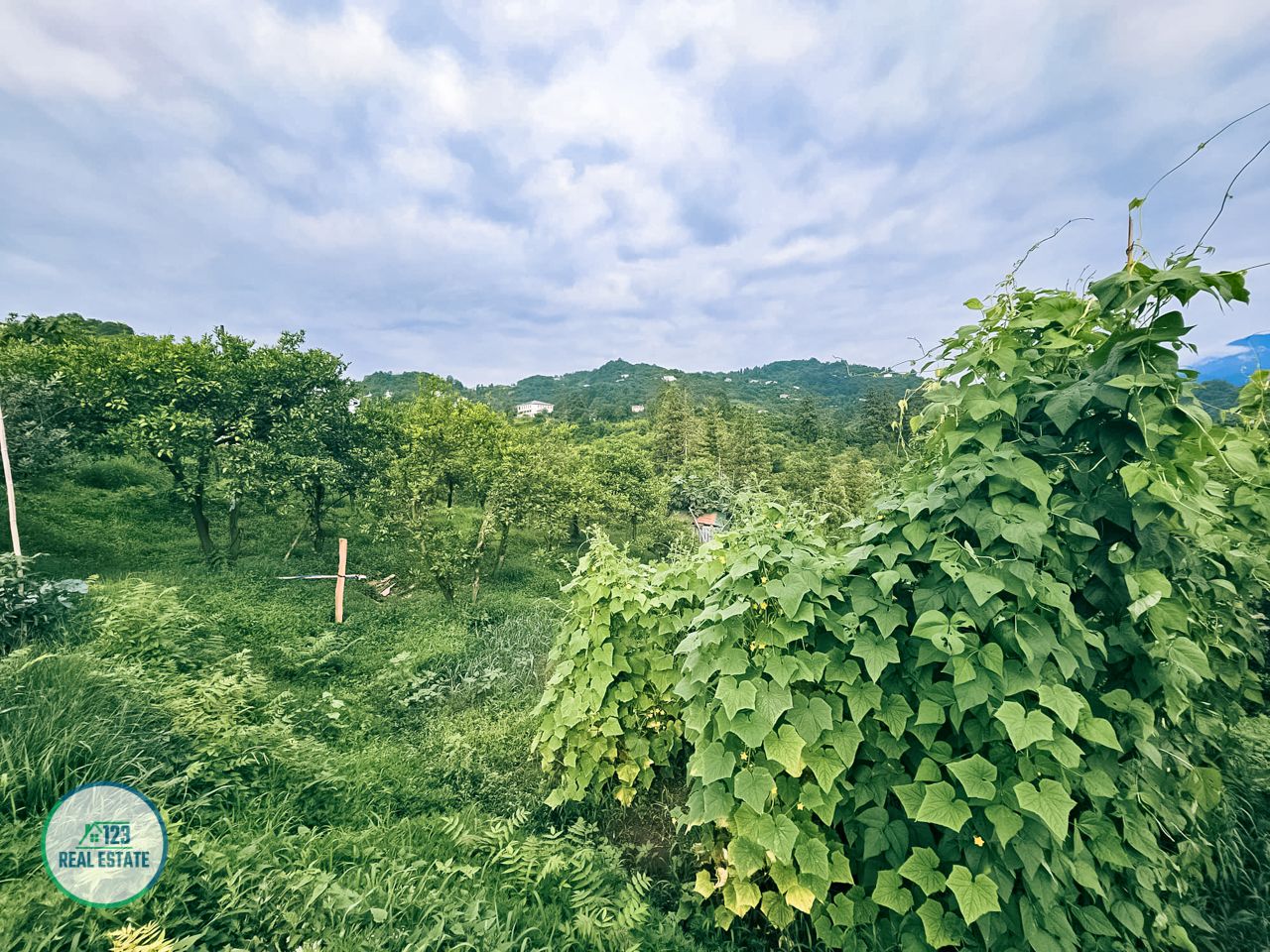 Земля в Батуми, Грузия, 3 077 м² - фото 12