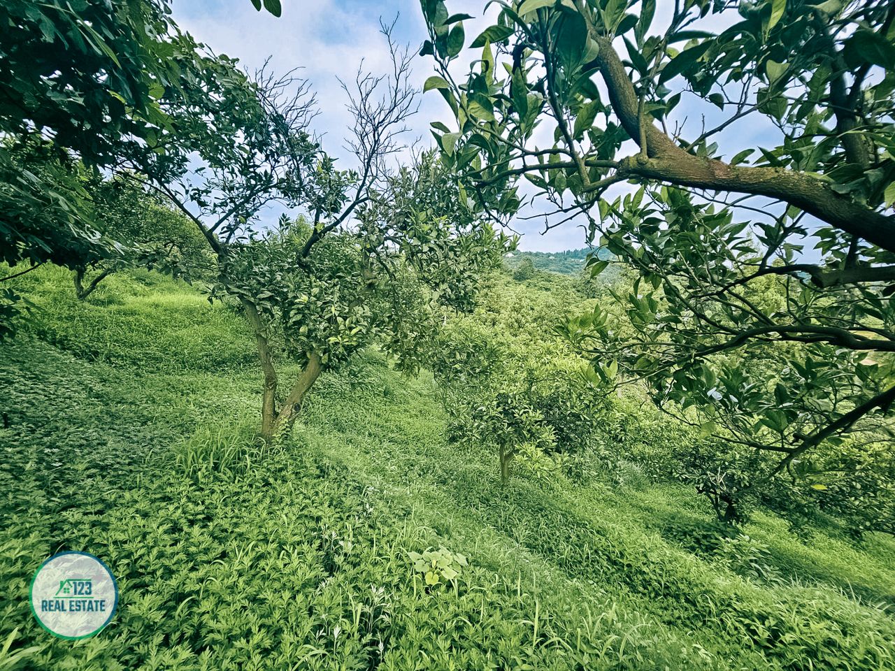 Земля в Батуми, Грузия, 3 077 м² - фото 16