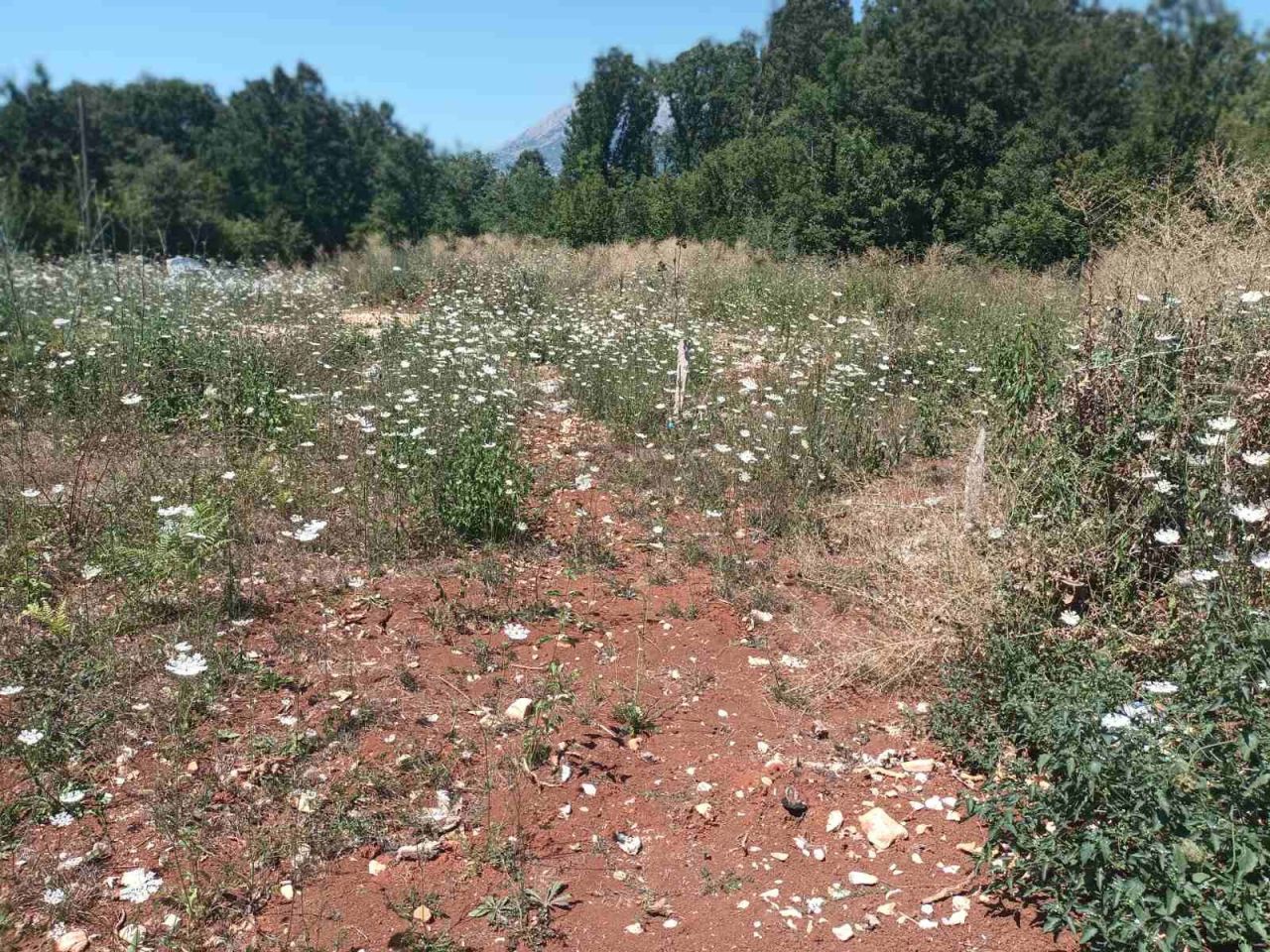 Дом в Баре, Черногория, 75 м² - фото 11