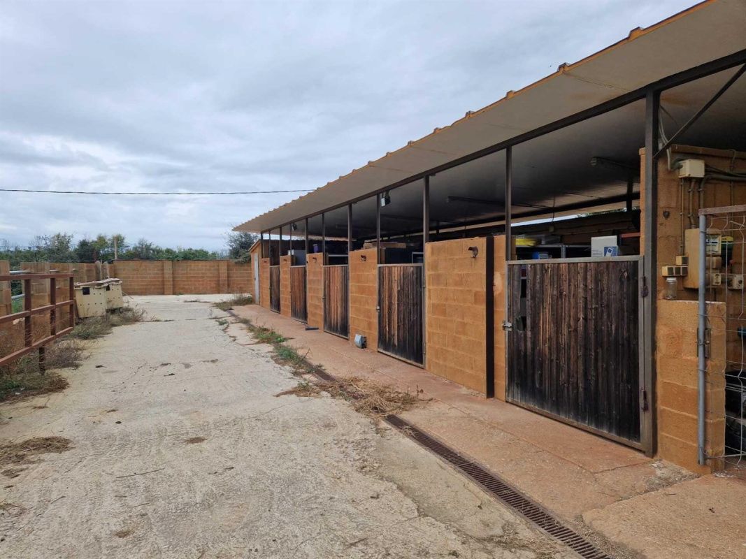 Дом в Жироне, Испания, 450 м² - фото 5