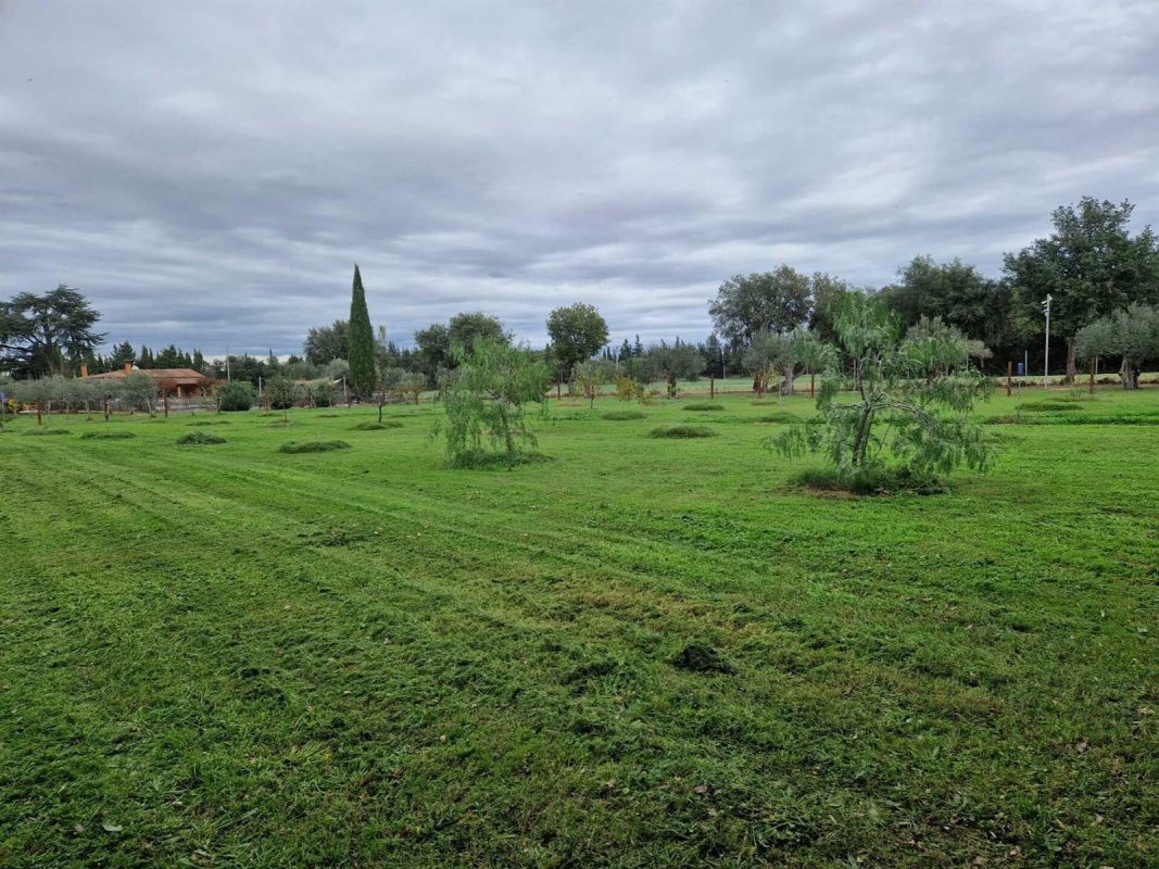 Дом в Жироне, Испания, 450 м² - фото 6