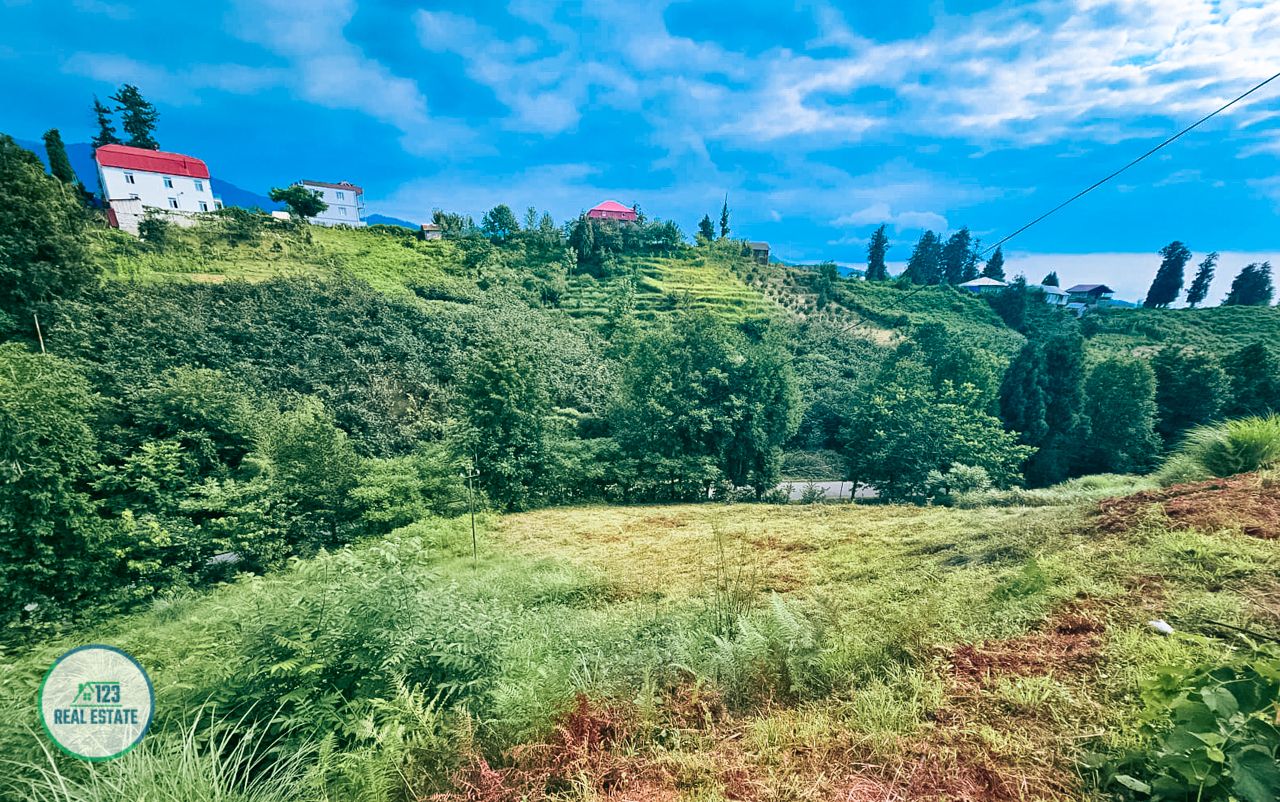 Земля в Батуми, Грузия, 3 804 м² - фото 6