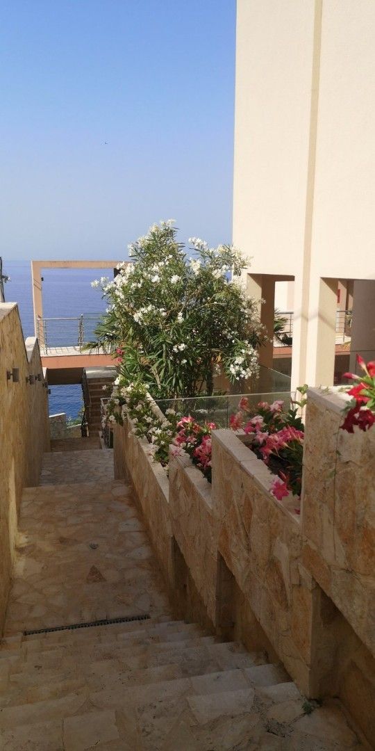 Квартира в Добра Воде, Черногория, 33 м² - фото 15