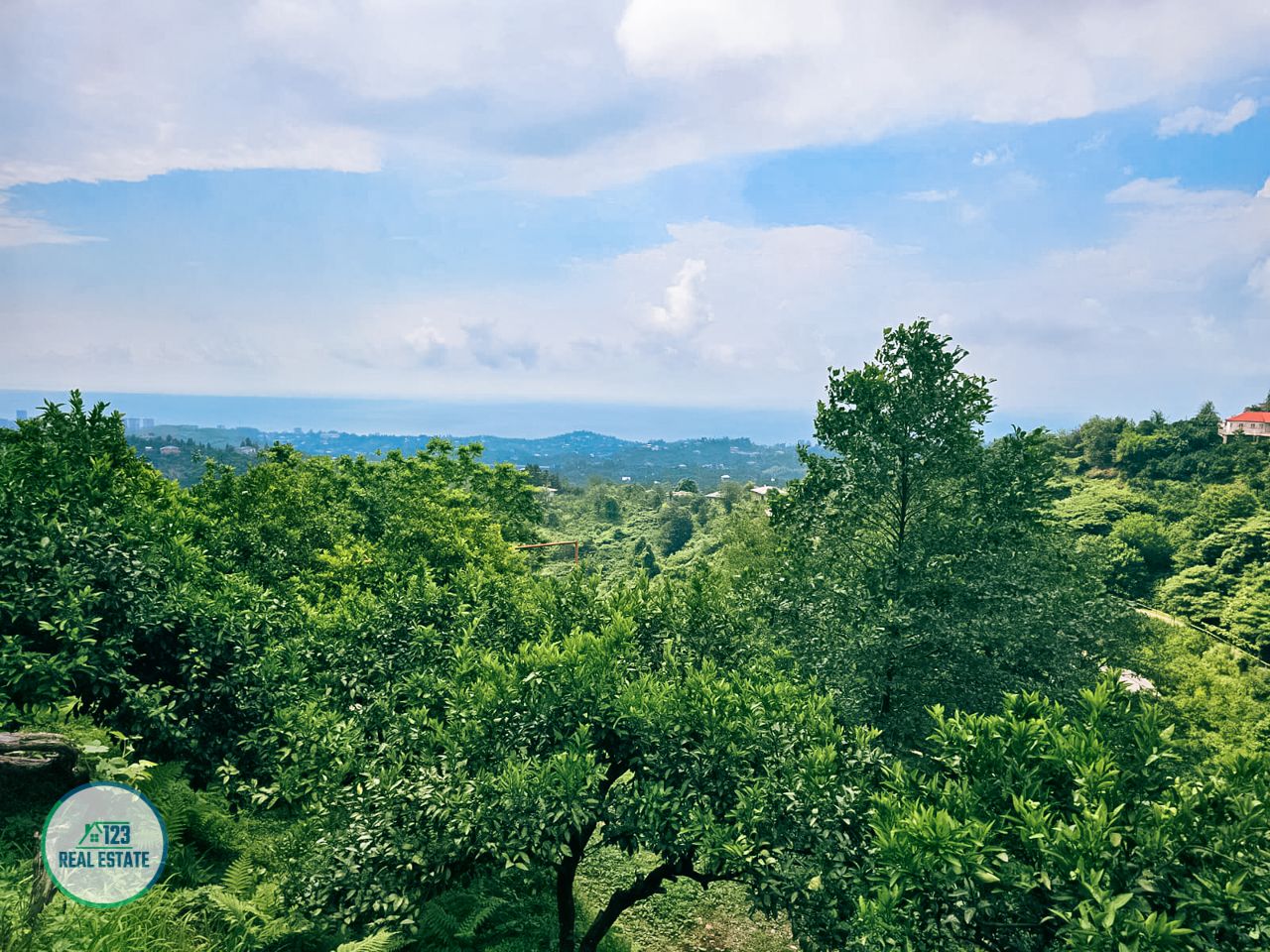 Земля в Батуми, Грузия, 2 414 м² - фото 10