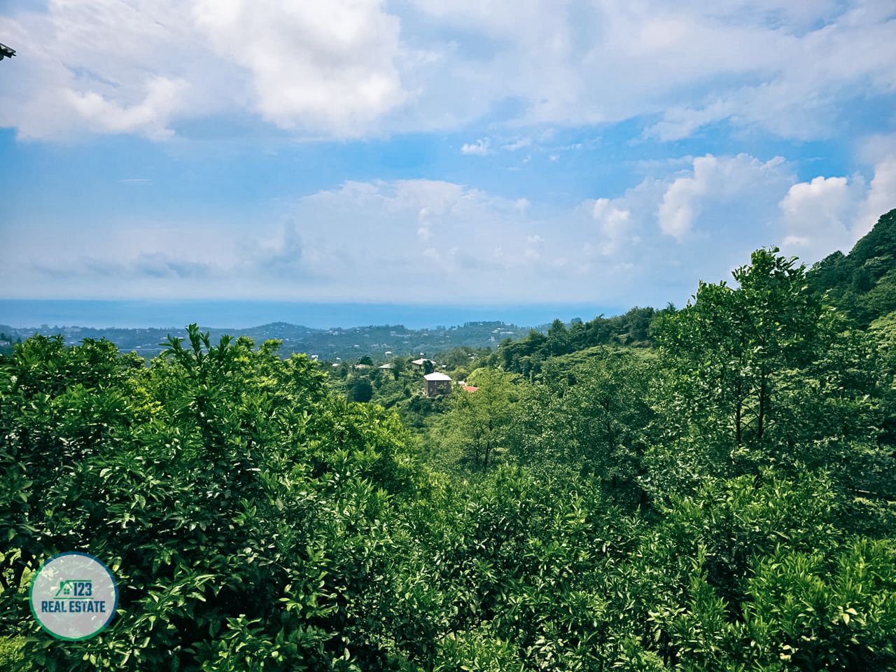 Земля в Батуми, Грузия, 2 414 м² - фото 4