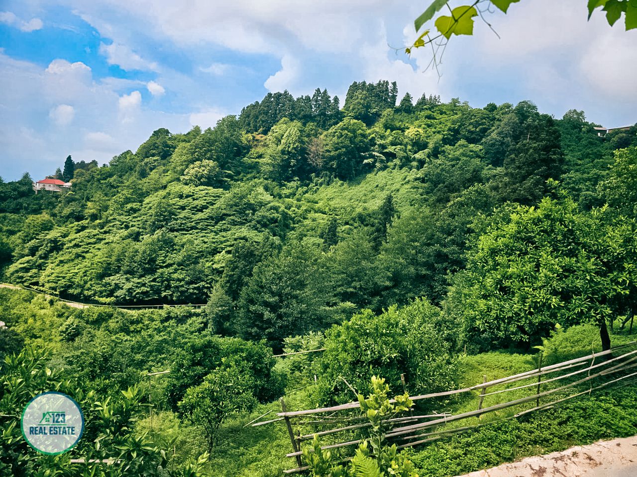 Земля в Батуми, Грузия, 2 414 м² - фото 9