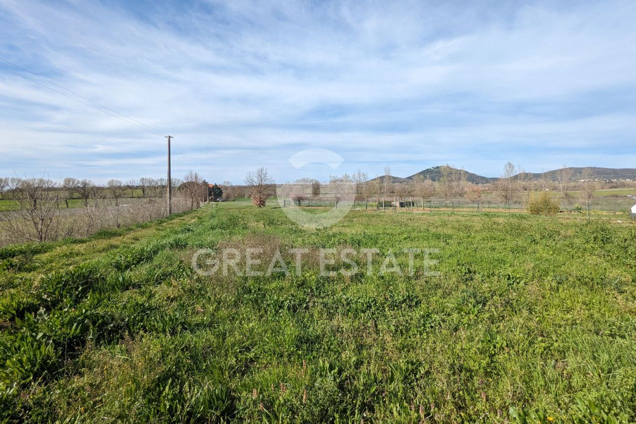 Дом в Паникале, Италия, 170 м² - фото 6